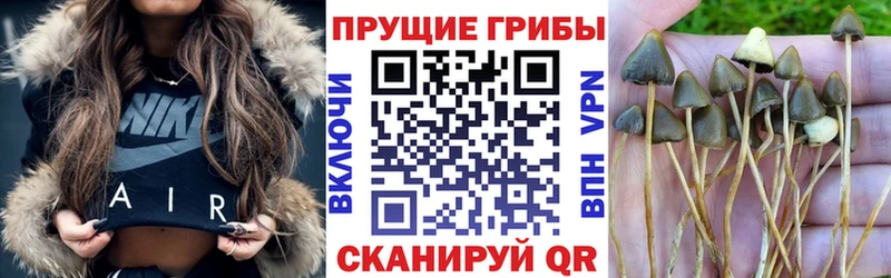ссылка на мегу   Туран  Псилоцибиновые грибы мицелий  закладка 